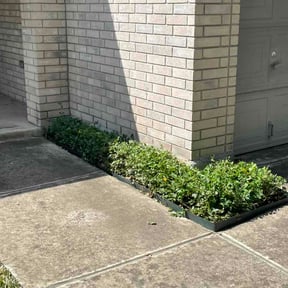 Bush Trimming by Snap Green Landscapers LLC reviewed on August 1, 2026
