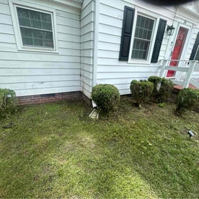 Bush Trimming by Yanez Brothers Landscaping reviewed on August 21, 2025