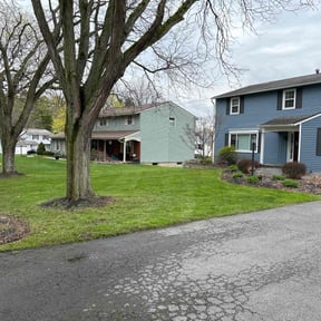 landscaping services by Antonio Villasenor reviewed on May 15, 2024