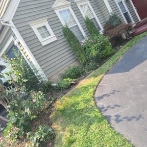 Flower Bed Weeding by CTN lawn care reviewed on August 17, 2025