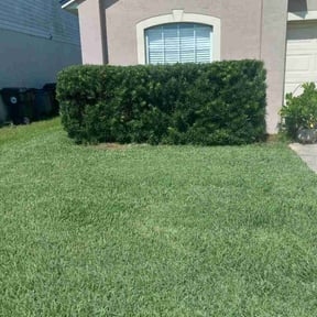 Bush Trimming by Luckys Lawn Care reviewed on August 15, 2026