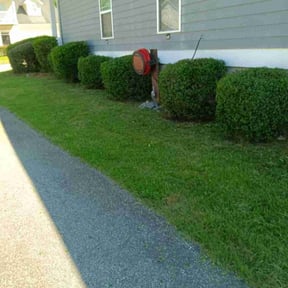 Bush Trimming by Crowder's lawn care reviewed on August 19, 2025