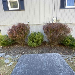 Bush Trimming by Complete Lawn Care reviewed on October 22, 2025