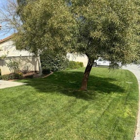 gardening service by Jg landscape reviewed on August 16, 2025