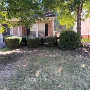 Bush Trimming by Keen Masonry reviewed on August 15, 2025