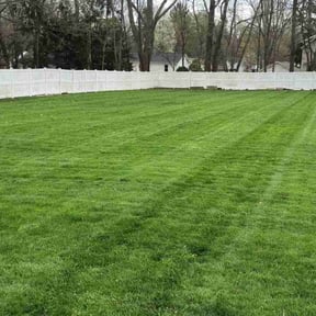 landscaping services by Scarlet and gray Lawn Care Management LLC reviewed on August 21, 2025