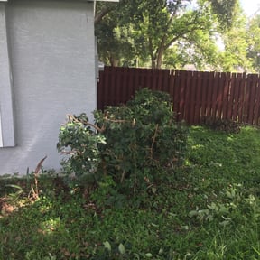 Bush Trimming by Triple C Lawn N More reviewed on August 20, 2025