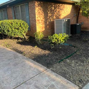 Bush Trimming by Tikitiki Garden Service reviewed on March 31, 2026