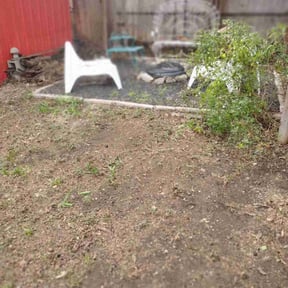 Leaf Removal by H&B lawn care reviewed on August 17, 2025