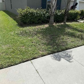 Flower Bed Weeding by NATIVE GREEN GROUNDS reviewed on October 15, 2026