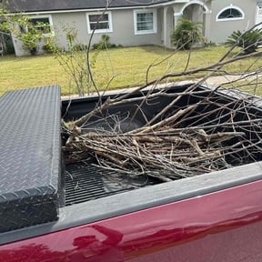 Leaf Removal by Plant Daddy Consulting &amp; Lawn maintenance reviewed on September 28, 2025