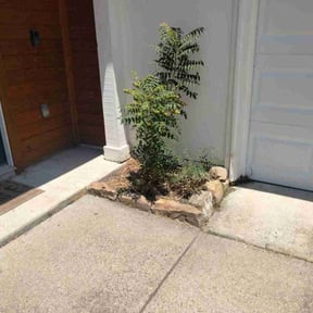 Flower Bed Weeding by Salvador Lawn and Tree Service reviewed on August 15, 2025