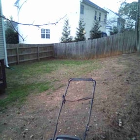 Leaf Removal by Jeff Sidener reviewed on September 9, 2025