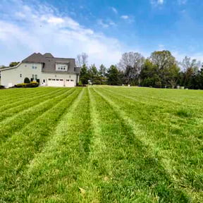 yard work by Scotton landscaping reviewed on August 15, 2025