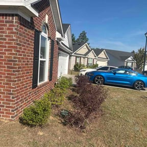 Bush Trimming by Sedlak  Landscaping  reviewed on April 14, 2026