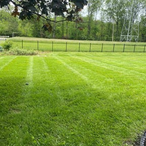 landscape maintenance by El Coqui Lawn Care reviewed on August 16, 2025