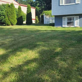 turf maintenance by 4 You Landscaping LLC reviewed on March 29, 2025