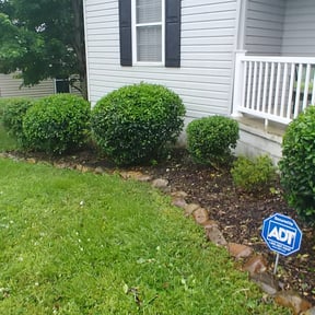 Bush Trimming by Fraire landscaping reviewed on August 18, 2025