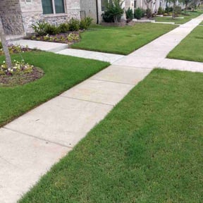 residential landscaping by Court Landscaping reviewed on August 21, 2025
