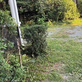 Bush Trimming by Von Behren Hauling reviewed on August 27, 2026
