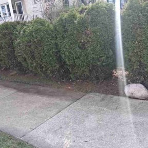 Leaf Removal by Lawn Justice Landscape reviewed on September 1, 2026