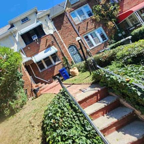 Bush Trimming by B and B Lawn and Professional Services LLC reviewed on November 21, 2025