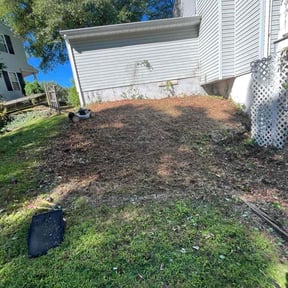 Bush Trimming by Florida Georgia Service&#039;s LLC reviewed on November 27, 2025