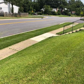 yard care by Fosters lawn and aeration LLC reviewed on August 16, 2025