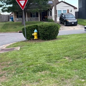 Bush Trimming by Mikes Landscaping reviewed on August 16, 2025