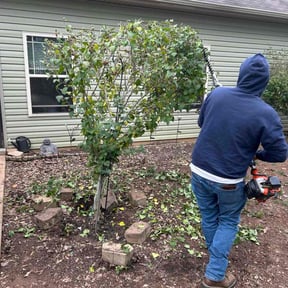 Bush Trimming by CM Mowing reviewed on April 9, 2026