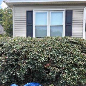Bush Trimming by Salt &amp; Soil Property Services LLC reviewed on June 18, 2026
