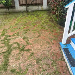 Bush Trimming by DT Lawn Service LLC reviewed on August 18, 2025