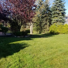 Leaf Removal by Quicklinellc reviewed on August 16, 2025