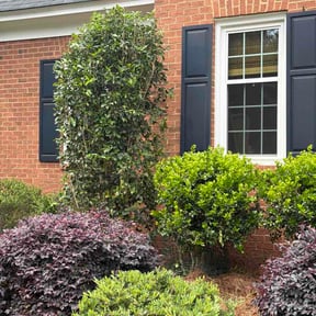 Bush Trimming by Valencia Landscaping reviewed on April 22, 2026