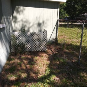 Bush Trimming by Edge Lawn Care reviewed on August 19, 2025