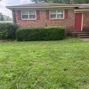Bush Trimming by Willie Lawn Care and More LLC reviewed on August 20, 2025