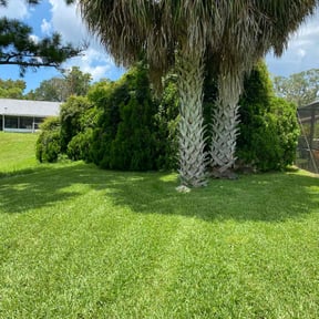 lawn care by Bigdogs Property Maintenance reviewed on July 29, 2025