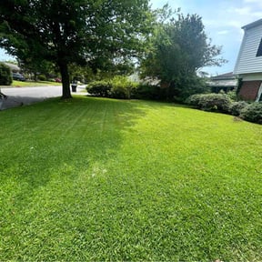 yard service by YFC Lawn Care and Maintenance reviewed on November 26, 2025