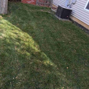 Leaf Removal by Hall's landscaping reviewed on November 23, 2025