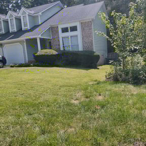 Bush Trimming by Big City Lawn Care LLC reviewed on August 16, 2025