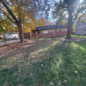 Leaf Removal by Smc tree services &amp; more reviewed on October 22, 2025