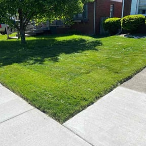 lawn care services by TruGreen LawnCare reviewed on June 17, 2025