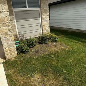 Bush Trimming by Default Remodel Services reviewed on August 17, 2025