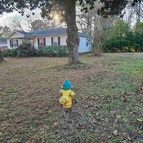 Leaf Removal by GZAG reviewed on December 18, 2025