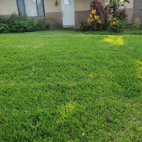 landscaping by H&amp;C Services LLC reviewed on November 19, 2025