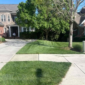 yard service by Scotton landscaping reviewed on August 19, 2025