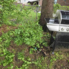 Bush Trimming by Kendres6,Lawn Care Service reviewed on August 18, 2025