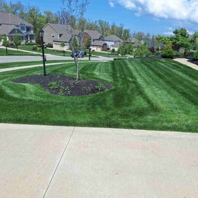 landscaping services by Premium Design Landscaping Inc reviewed on August 17, 2025