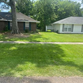 landscape maintenance by Taurus enterprise and construction LLC reviewed on August 19, 2025