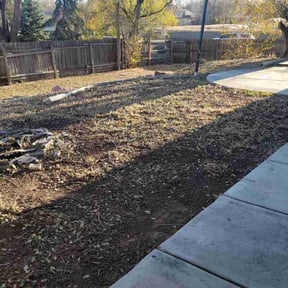 Leaf Removal by L&amp;M landscaping reviewed on September 29, 2025